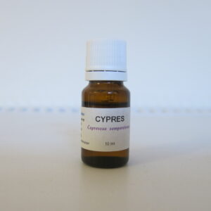 Cyprès toujours vert