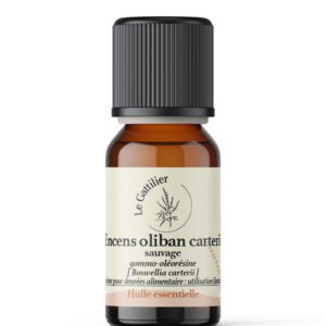 Encens Oliban Carterii