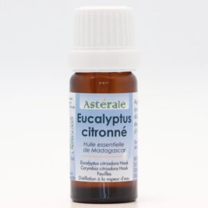 Eucalyptus citronné