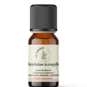 Marjolaine à coquille
