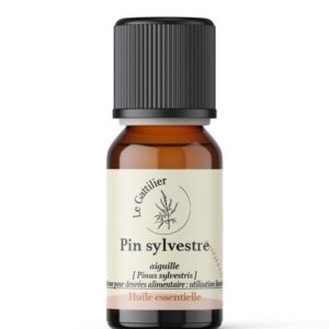 Pin sylvestre