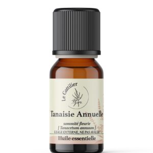 Tanaisie annuelle
