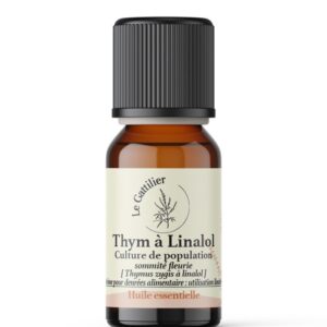 Thym à linalol