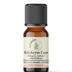 Helichryse italienne